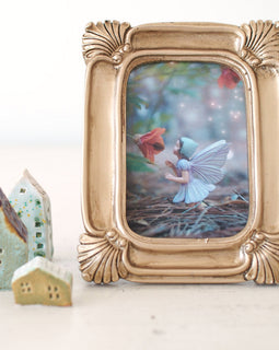 Flower Fairy Photograph Nursery Decoration